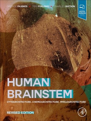 cover image of Human Brainstem